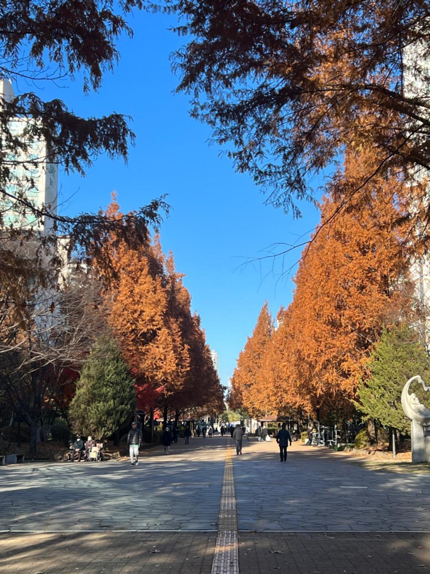 Hongdae Hk * Seoul
