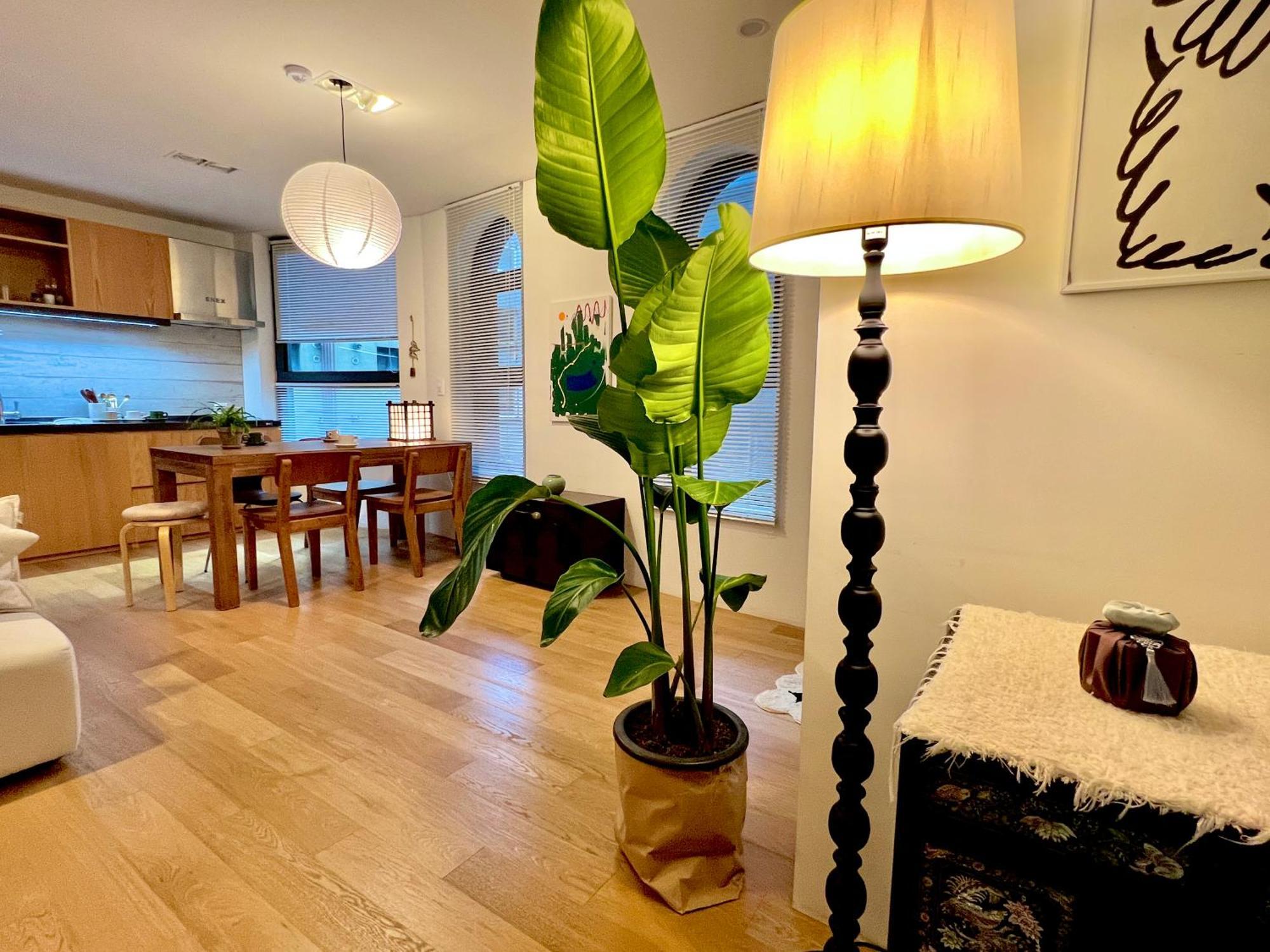 Korean Traditional Terrace House Seoul