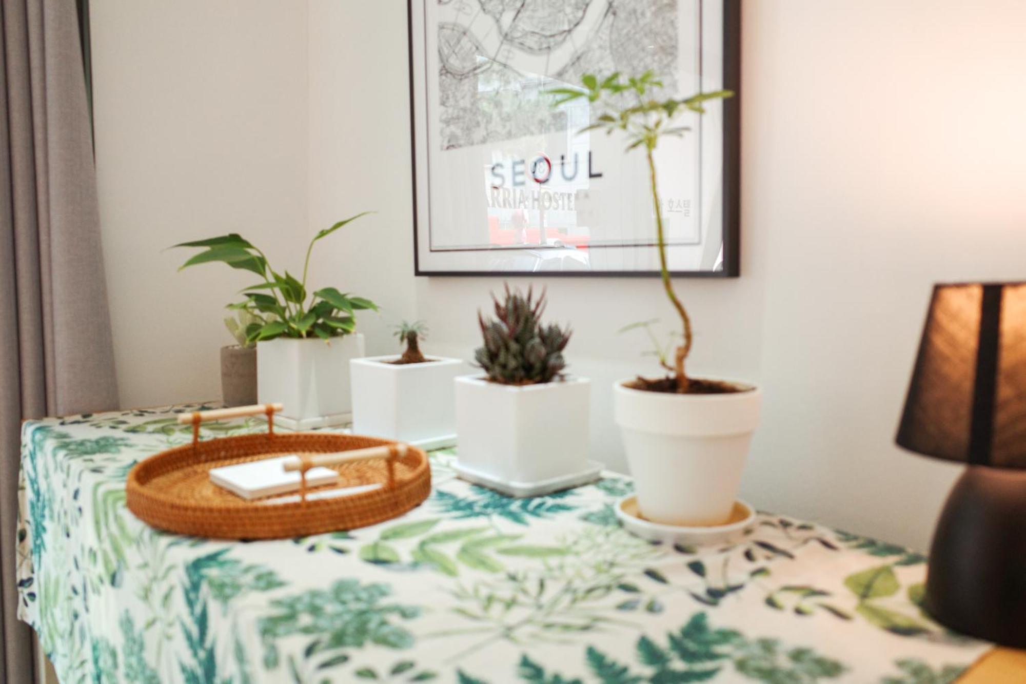 Starria Guest house 2*