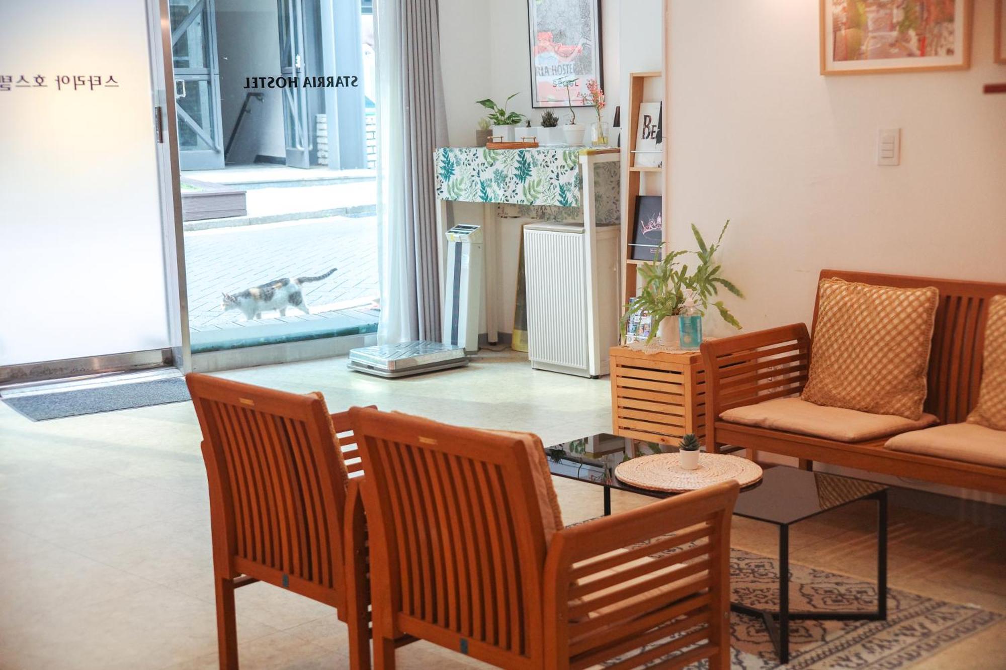 Guest house Starria Seoul