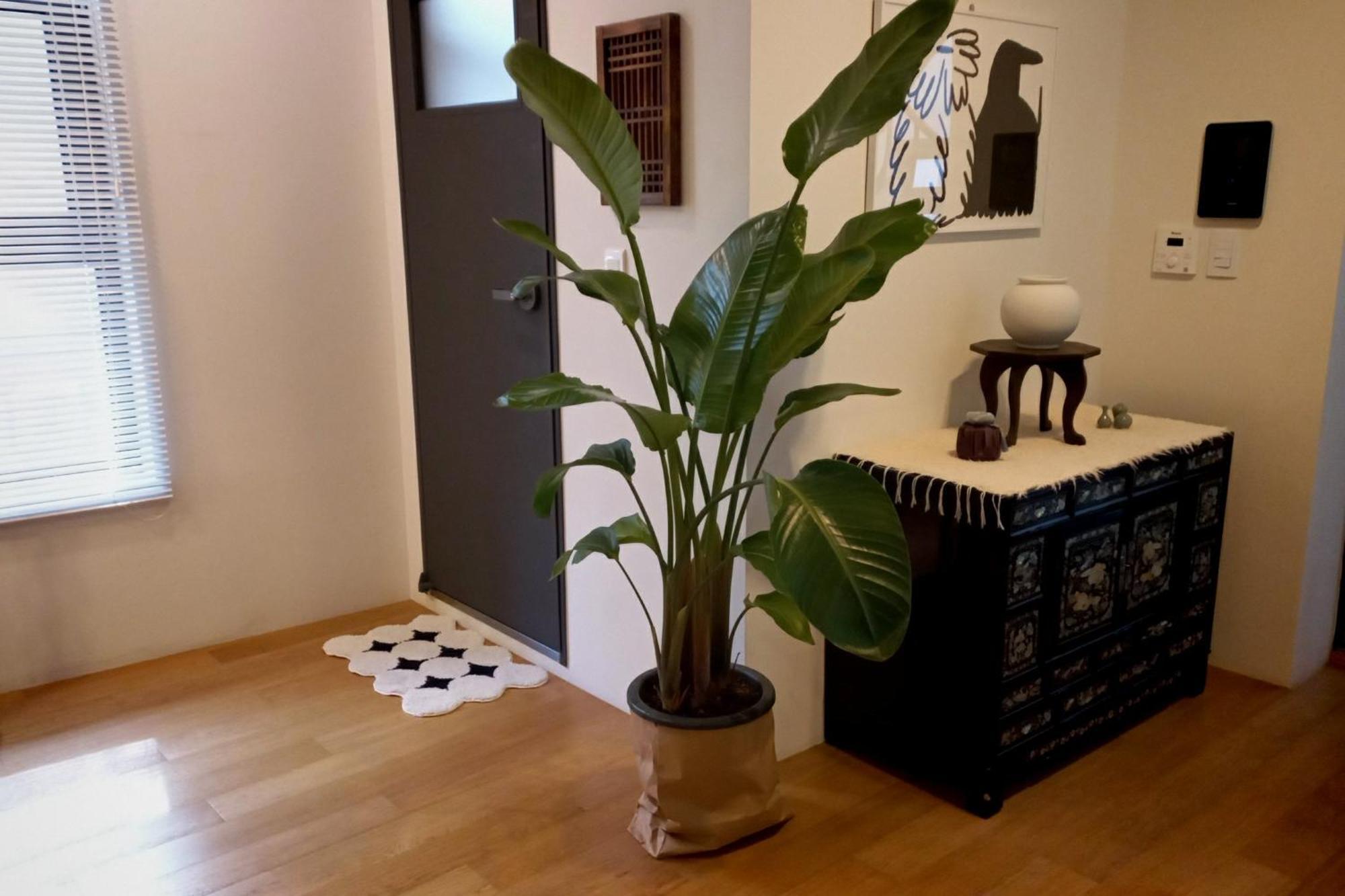 Apartment Korean Traditional Terrace House
