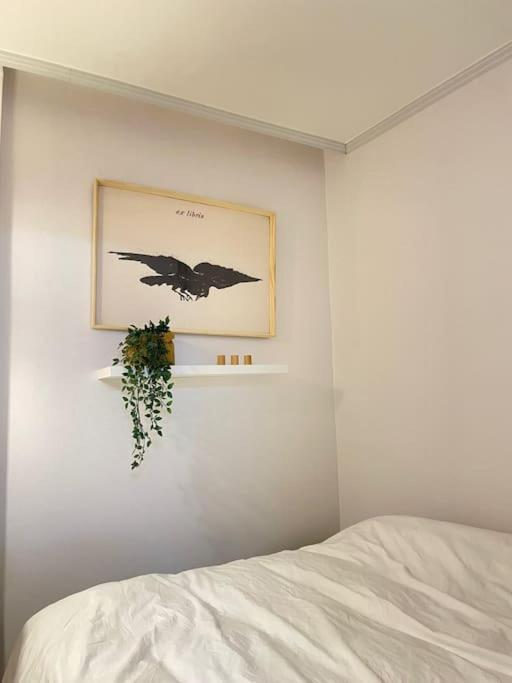 Apartment U *