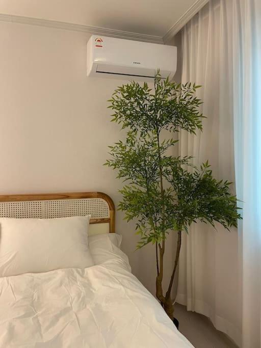 Apartment U