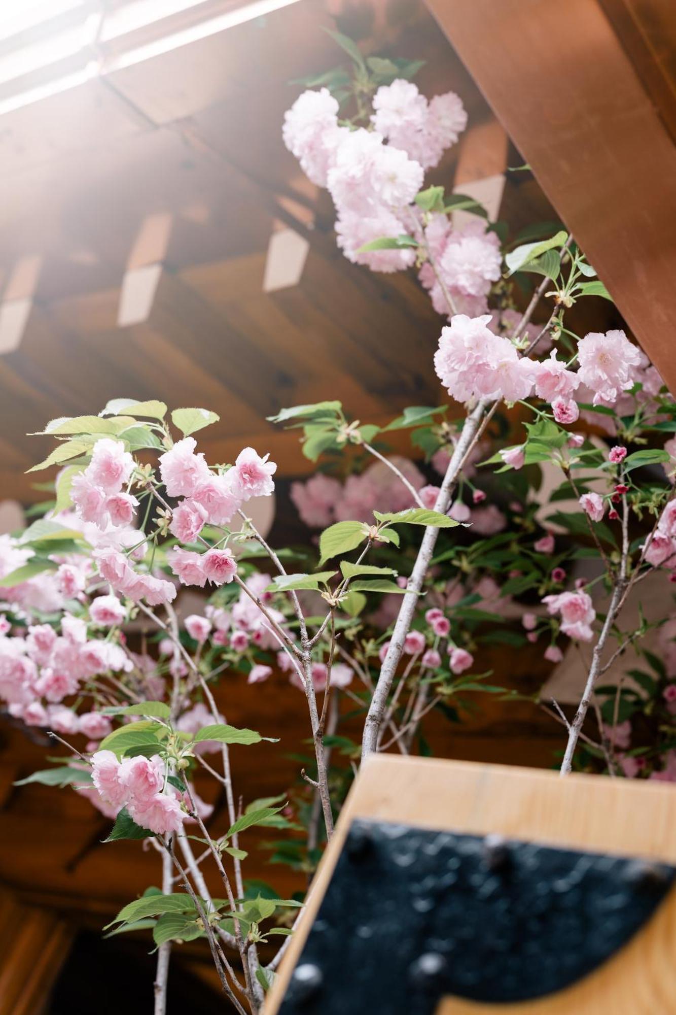 Hamhanokstay Holiday home