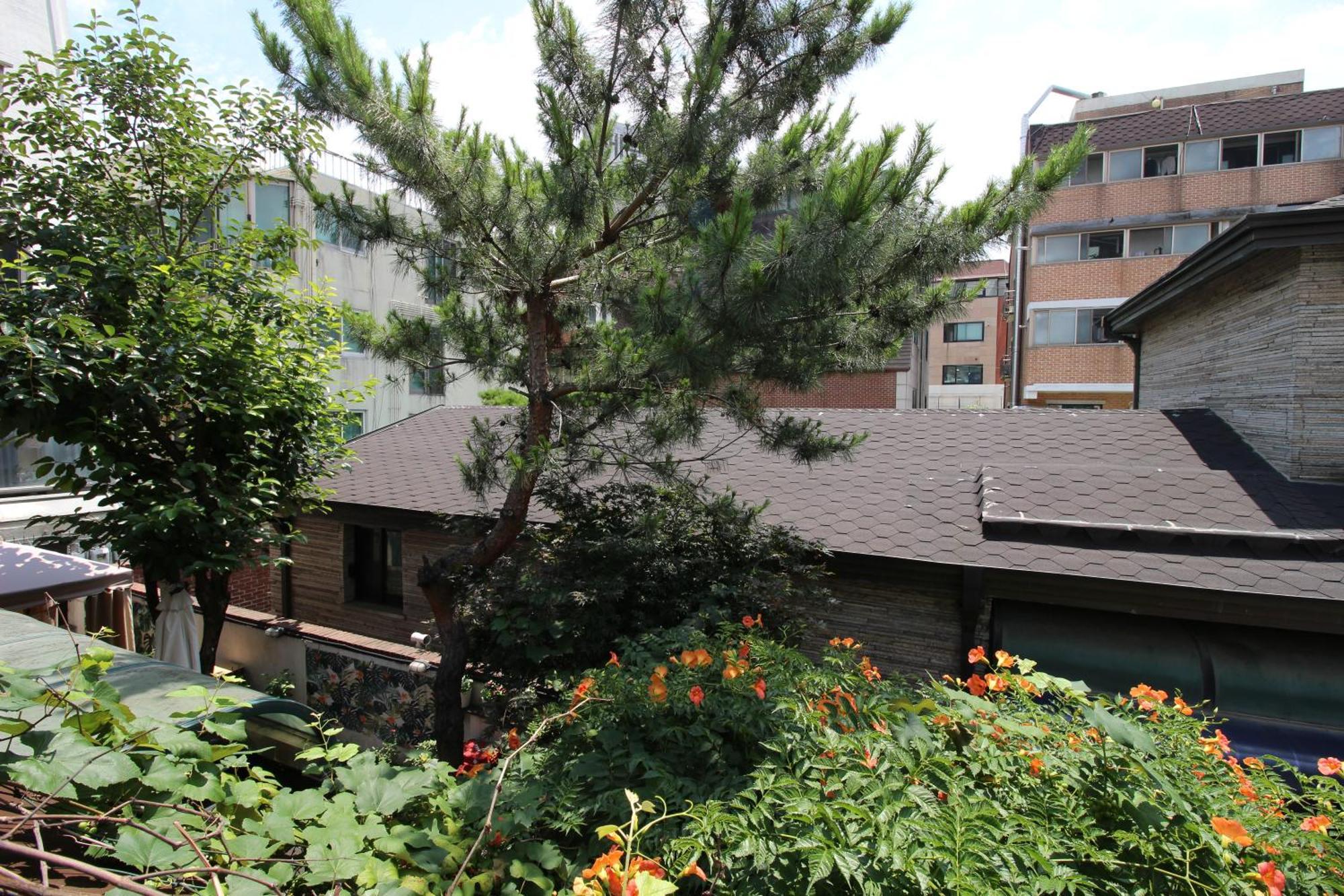 Bunk Hongdae Guest house