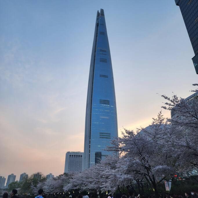 Dream Attic * Seoul