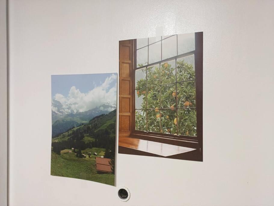 Apartment June