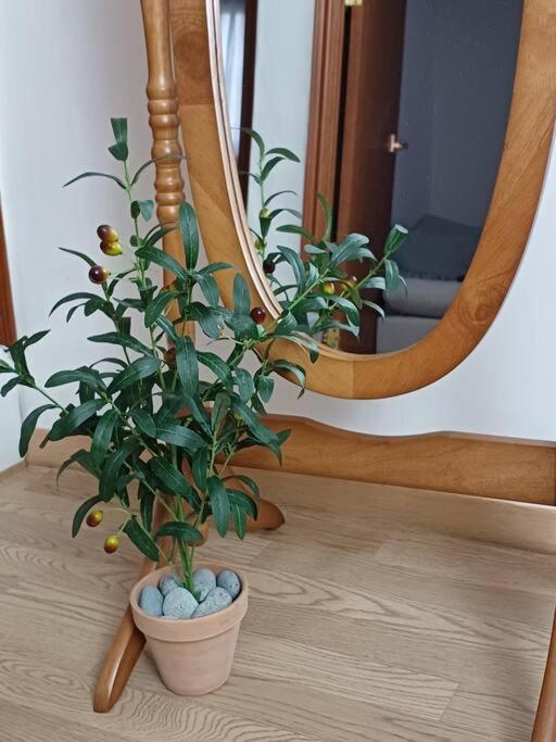 June Apartment