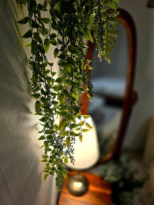 Healing & Romang House *