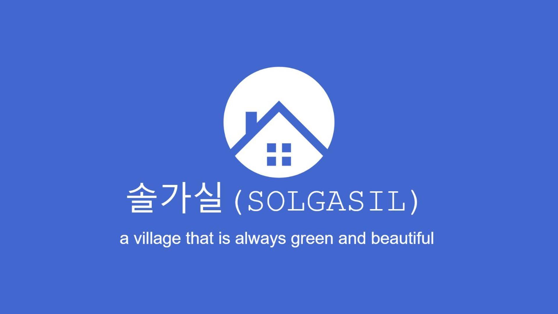 Solgasil *