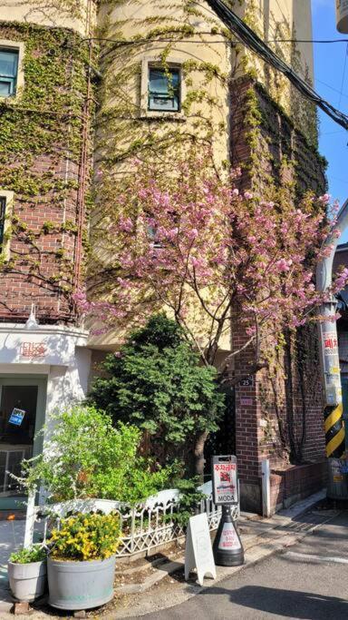 Artistic Inspiration 2br #local #rest #private Onmoda Seoul