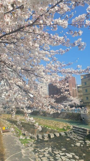 Apartamento Artistic Inspiration 2br #local #rest #private Onmoda *