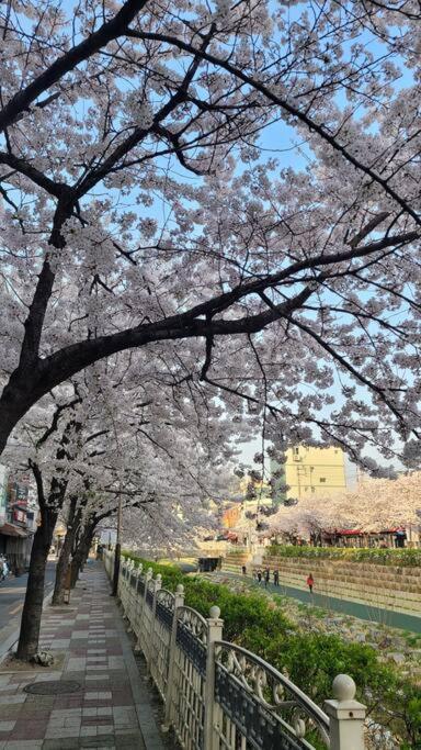 Artistic Inspiration 2br #local #rest #private Onmoda Apartment Seoul