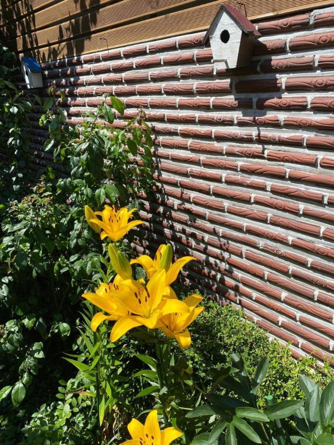 Hanok Suni Guest house Seoul
