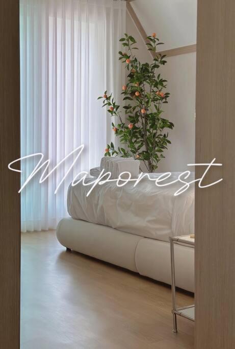 Maporest Big House Seoul