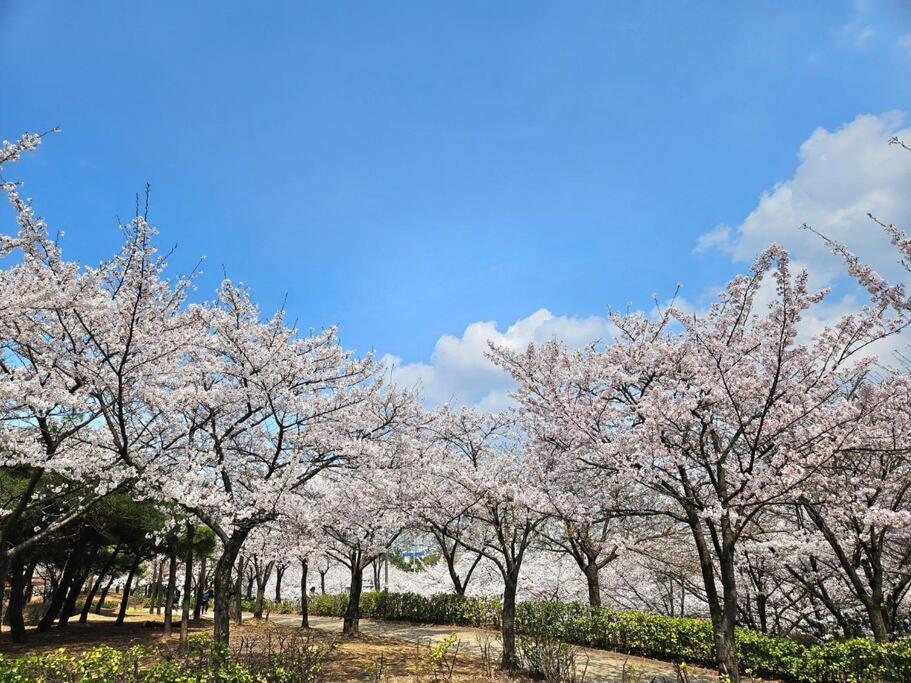 Apartamento 홍대입구, 신촌 중심부 씨티뷰하우스,fully Furnished Seul