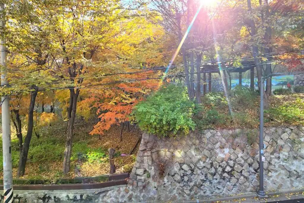 K-14 Hongdae Park Forest 2fl Apartment