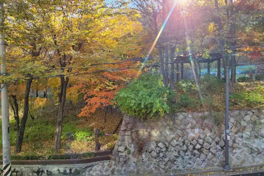 K-14 Hongdae Park Forest 2fl *