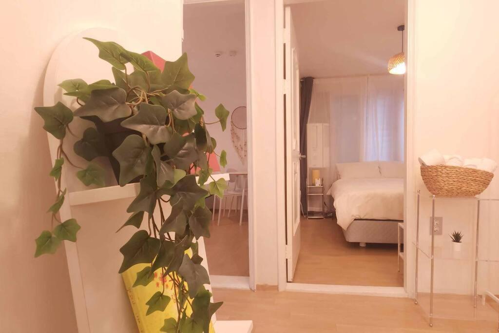 K-10 White Linen House *