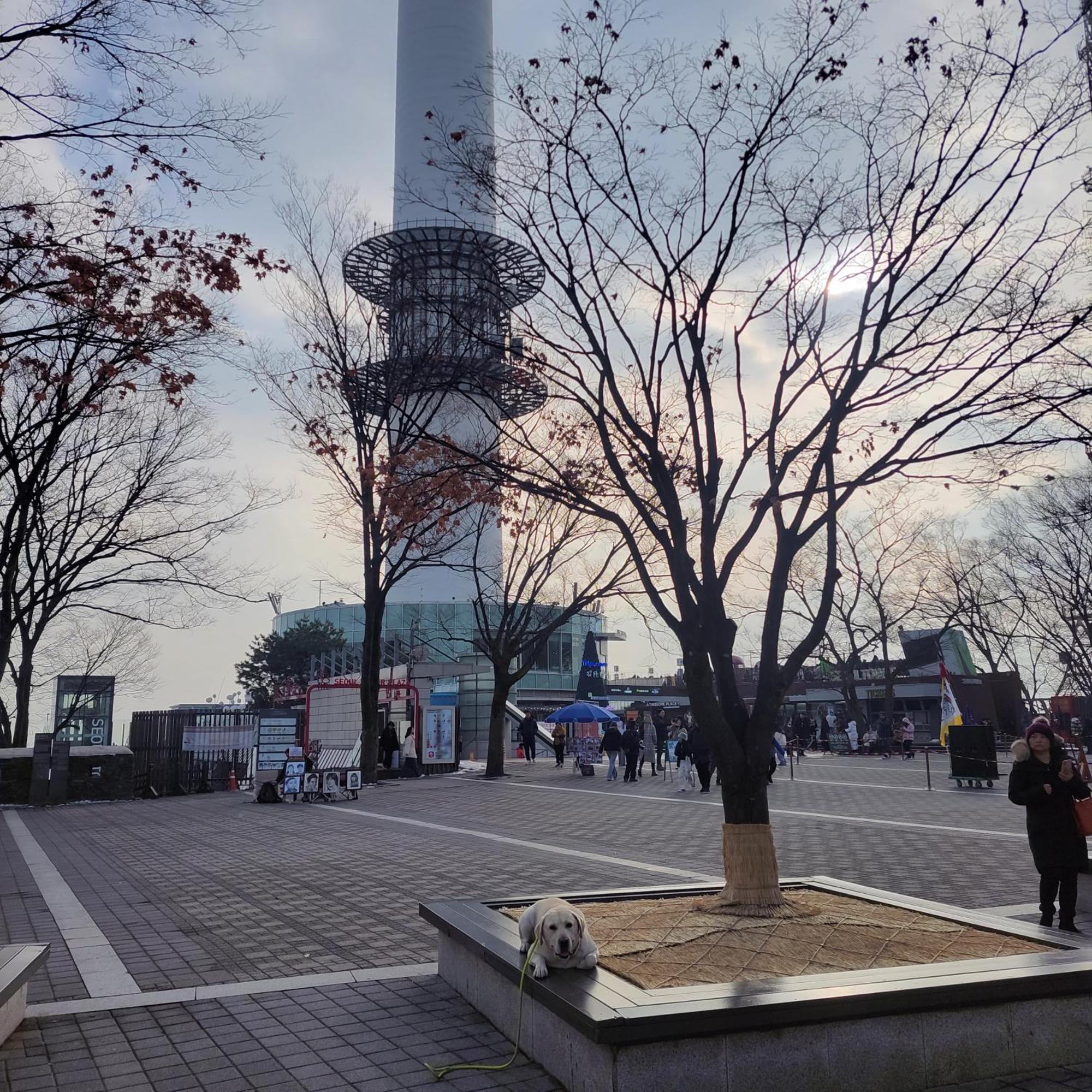 Newly Renovated Cozy Studio#9 * Seoul