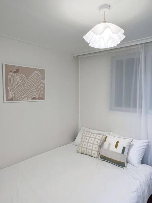 Clean & New - Songridan-gil, Seokchon Lake, Lotte World, Kspo Dome, Olympic Park, River, Asan Hospital, Coex * Seoul