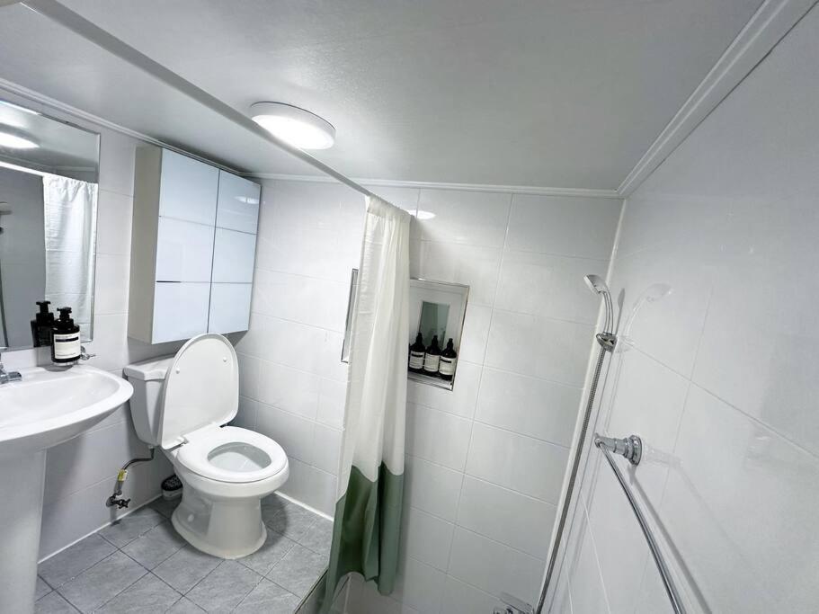Clean & New - Songridan-gil, Seokchon Lake, Lotte World, Kspo Dome, Olympic Park, River, Asan Hospital, Coex Villa *