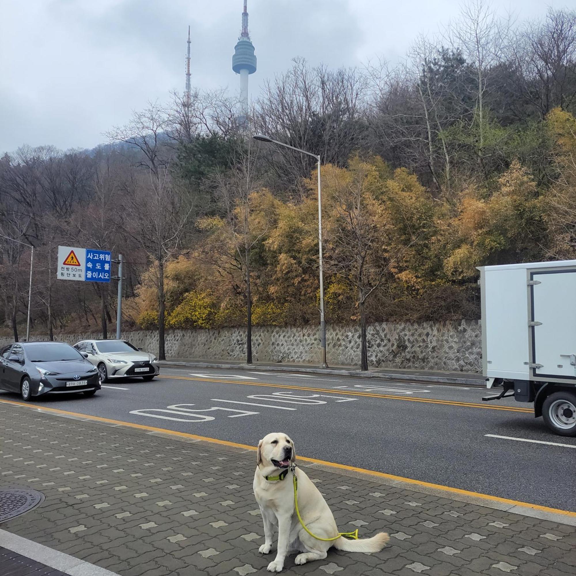 Spacious Newly Renovated #13 Seoul