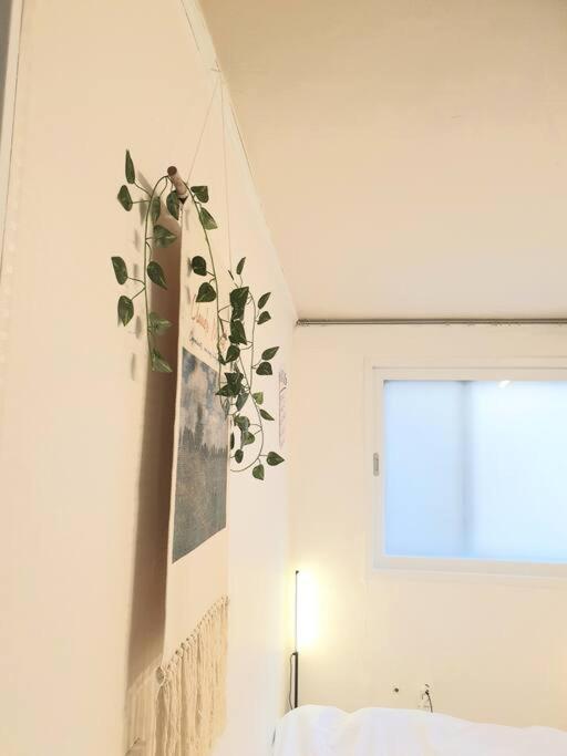 Entire Private House In 2br, Kitchen, Family Apartment *