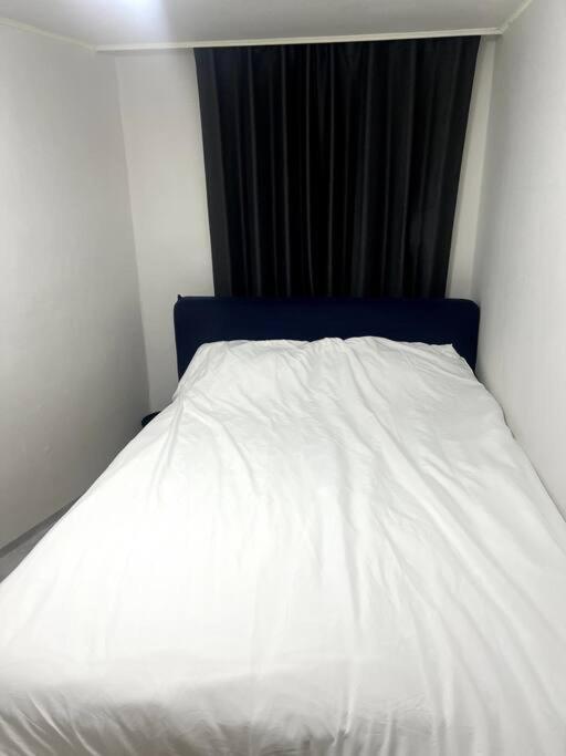 Foreigner Only - Han's House Apartment Seoul