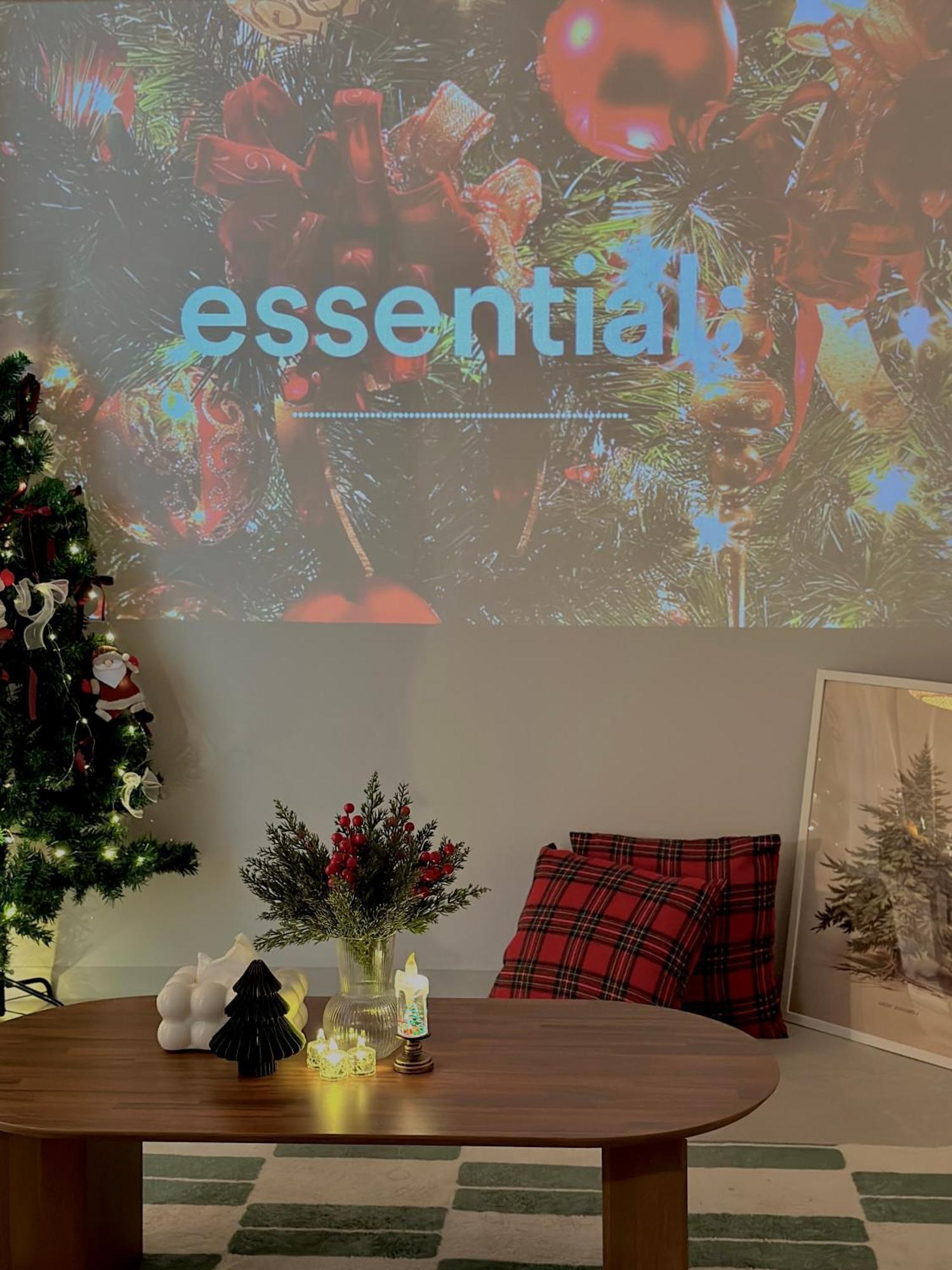 Apartment Calming Place,
