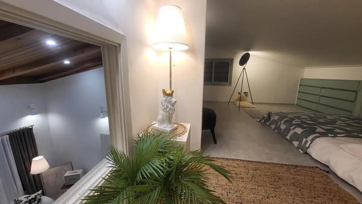 Apartment Oasis