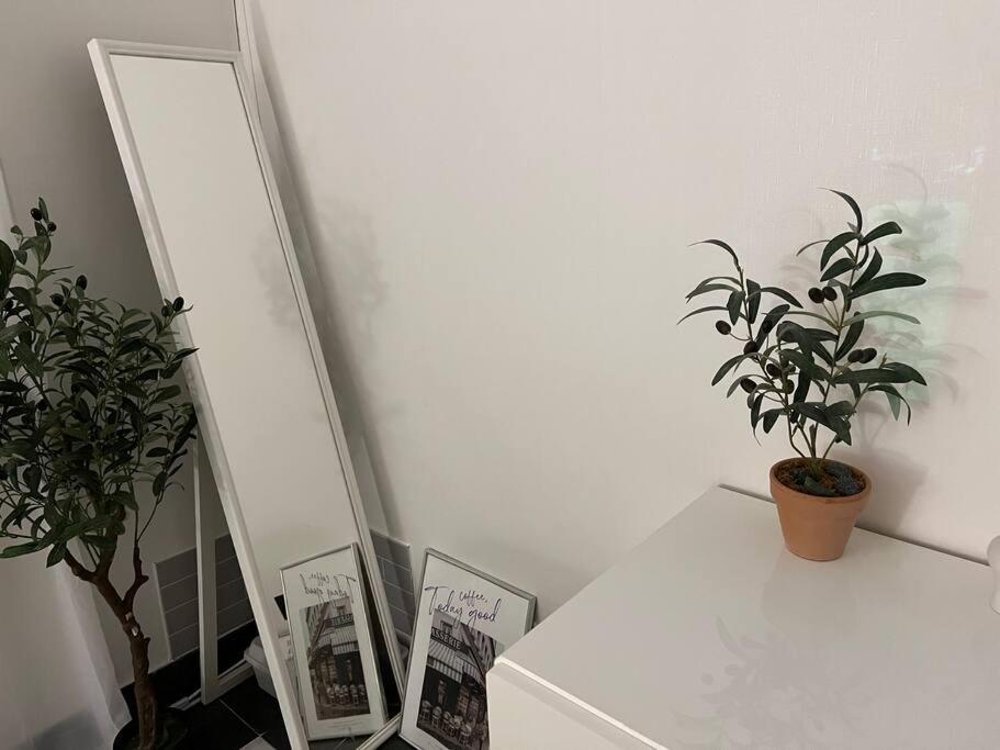 Summer Apartment Seoul