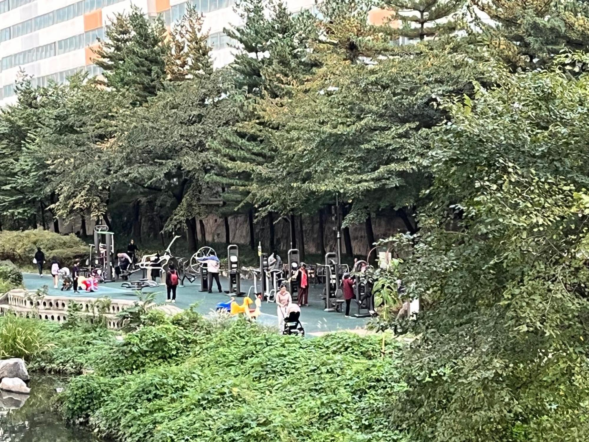 Bueno Day - Near Hongdae & Historic Sites Hostel Seoul