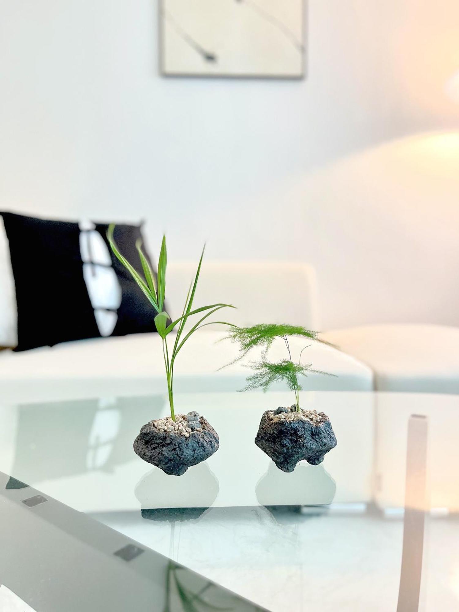 Apartment #newopen#gangnam High-end#ev#parking#subwaystation5min Seoul