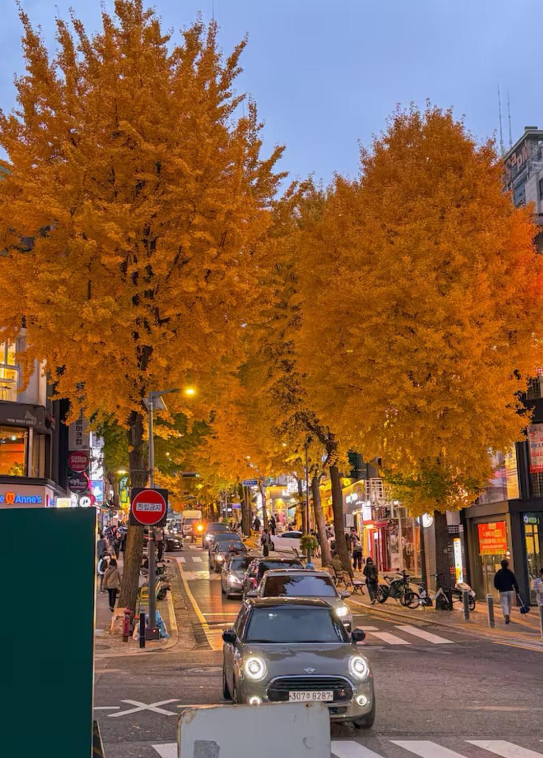 Allie House In Sinchon