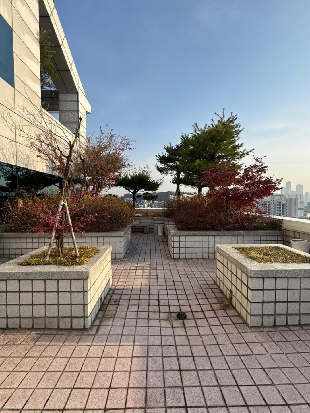 New Remodeling Hongdae House *