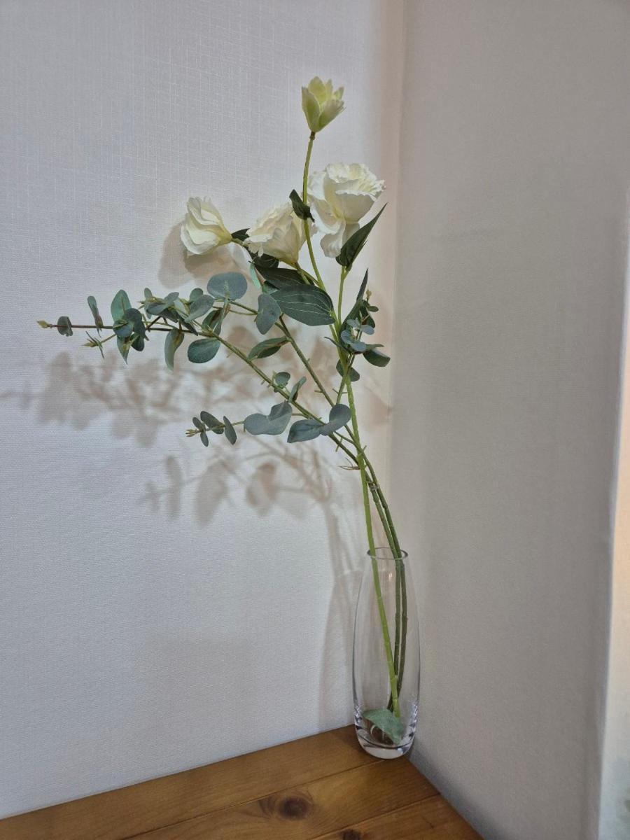 Dasoni Apartment *
