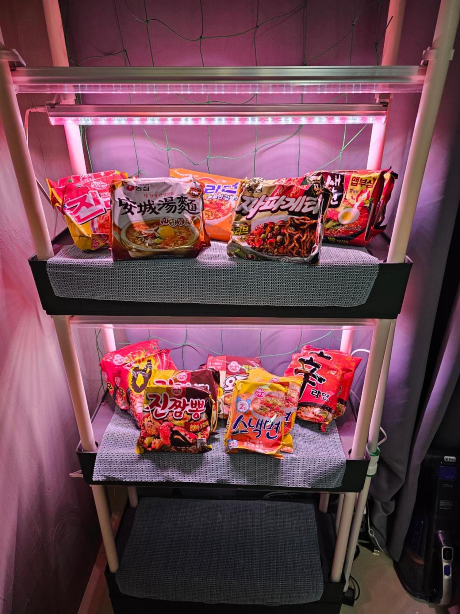 150m From Myeongdong Station, Private Use, Style Interior, Free Korean Ramen *