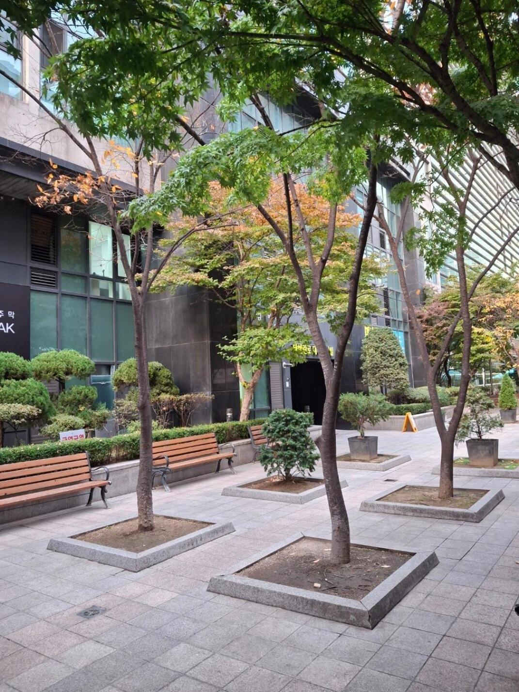 Teheran-ro Balcony View Private House Basic For 2 People Airport 7 Minutes Recently Renewed Seoul