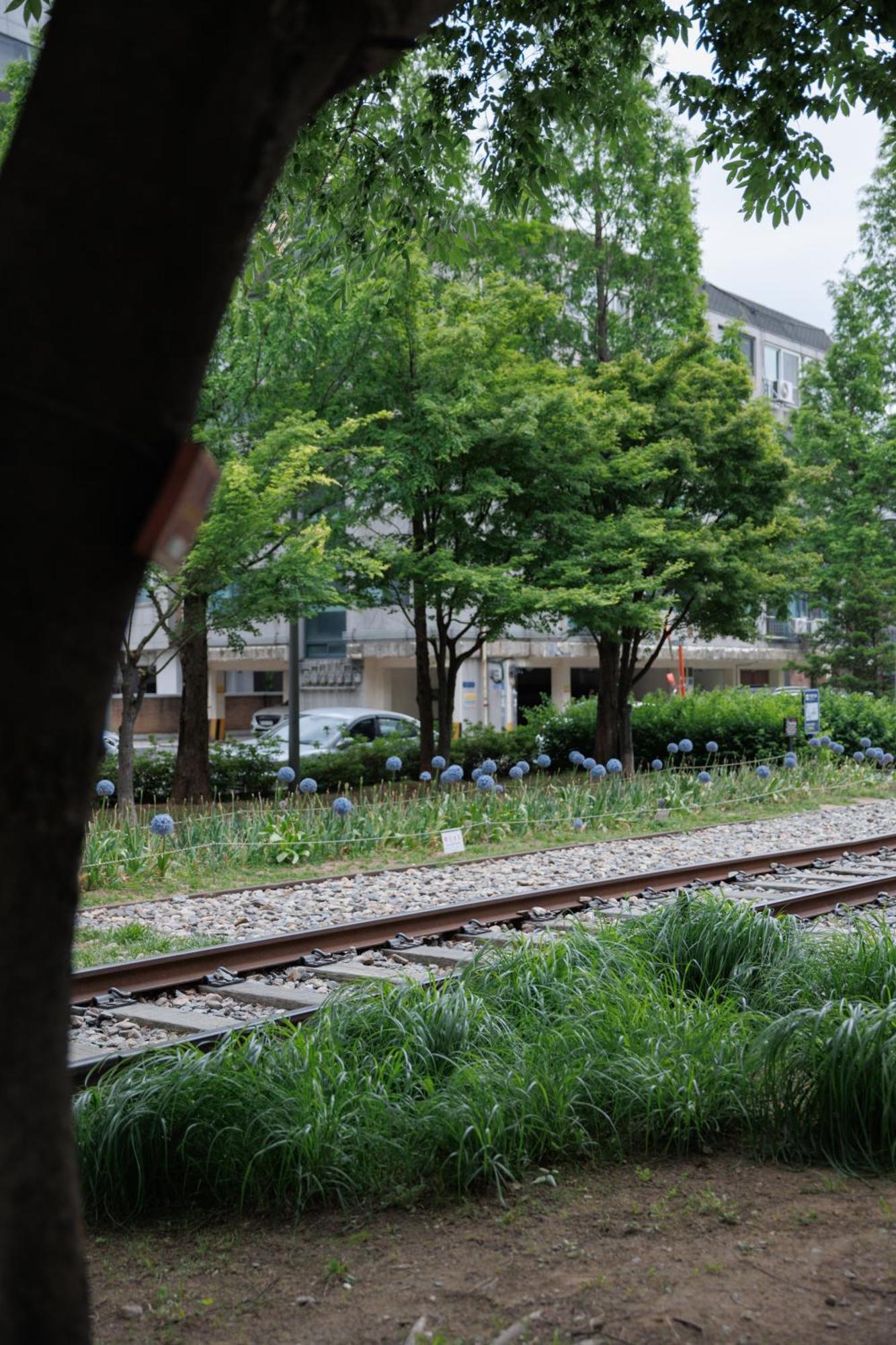 Comfortable Home 10 Min From Hongik University, 5Min From Gajwa Station With Baby Products, 4 Bedrooms 8 People *