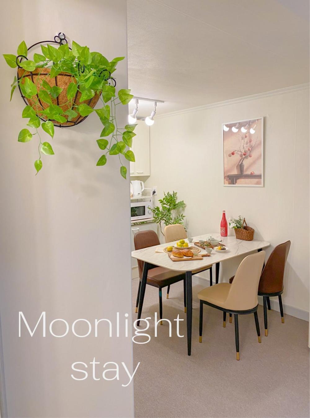 Apartment Moonlight