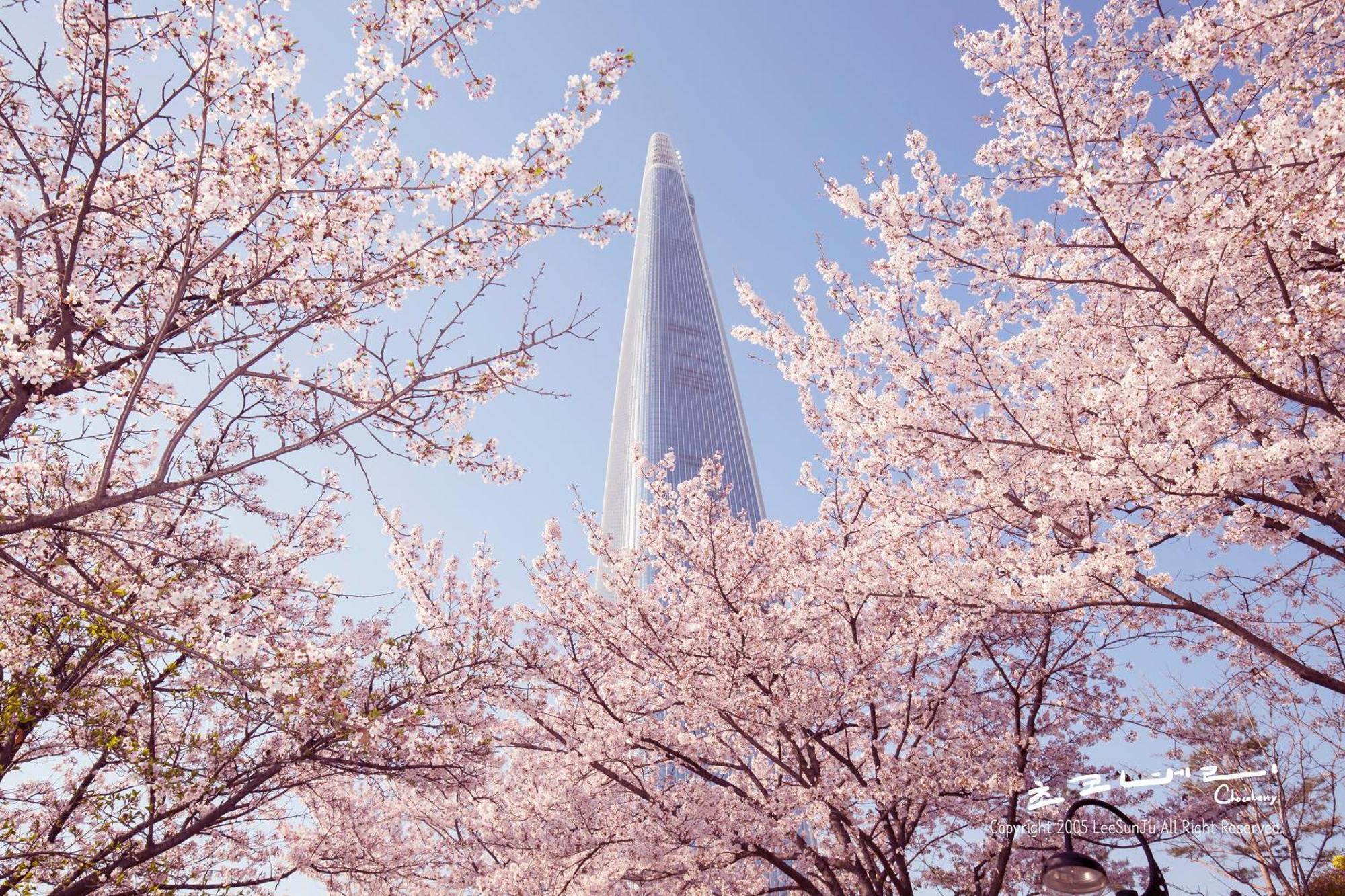 Esther House #seoul Station 5min By Gtx-a #hongdae 15min Seoul