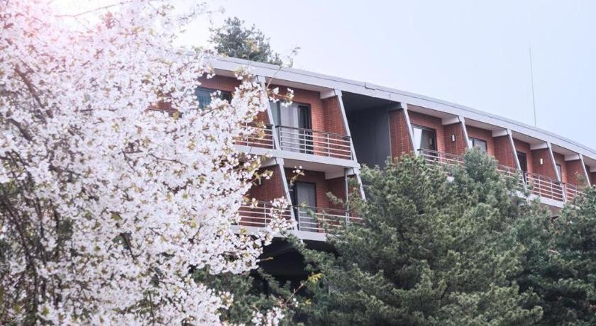 Walkerhill Douglas House (adults Only) Seoul