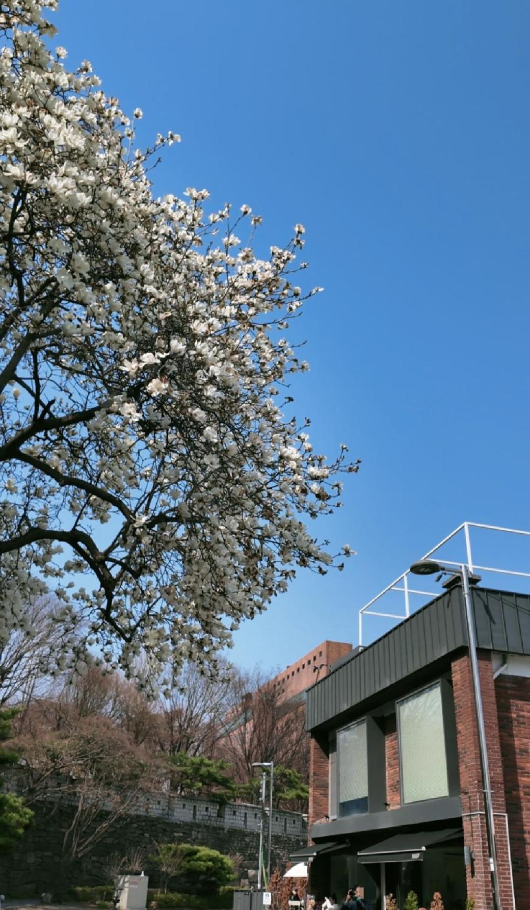 Namsan Apartamento *