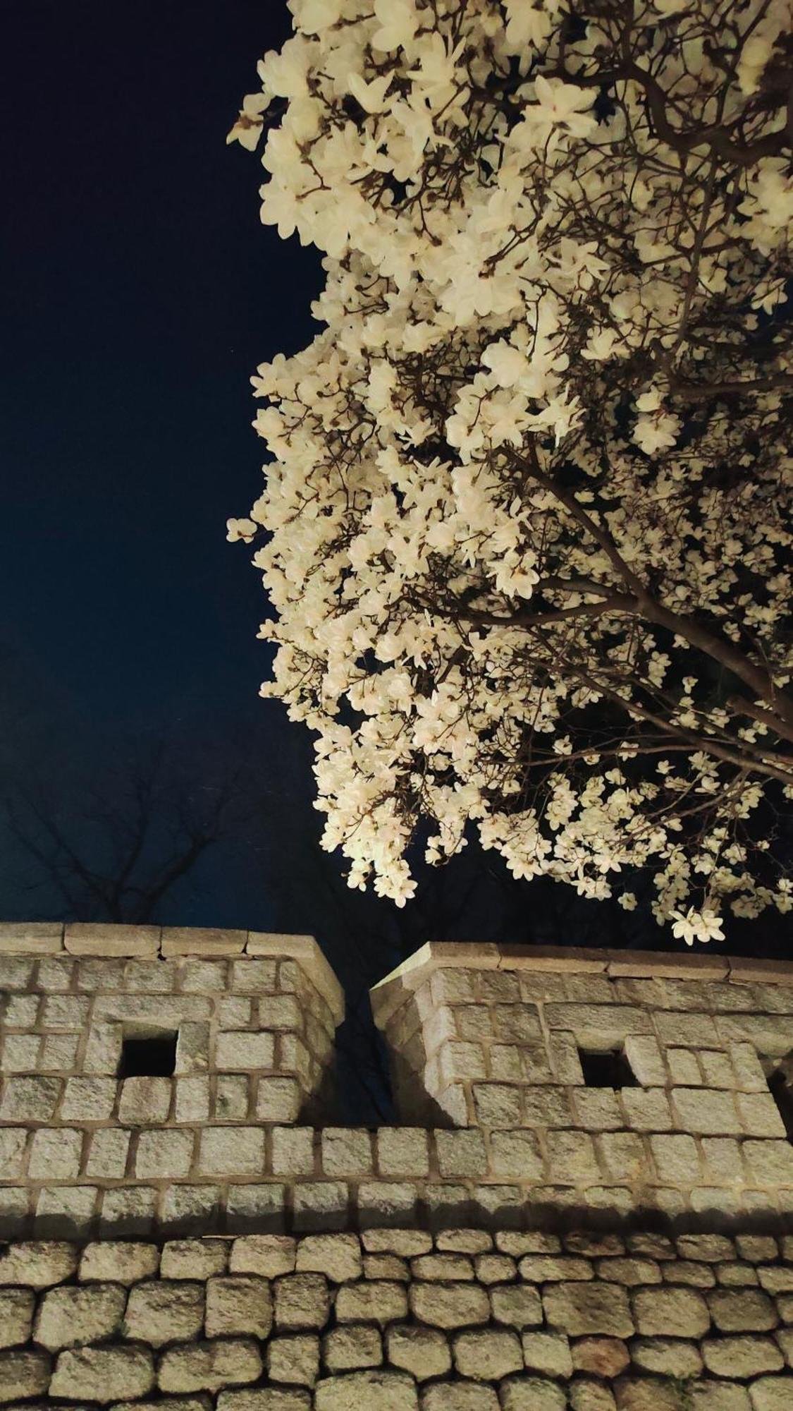 Namsan Seul