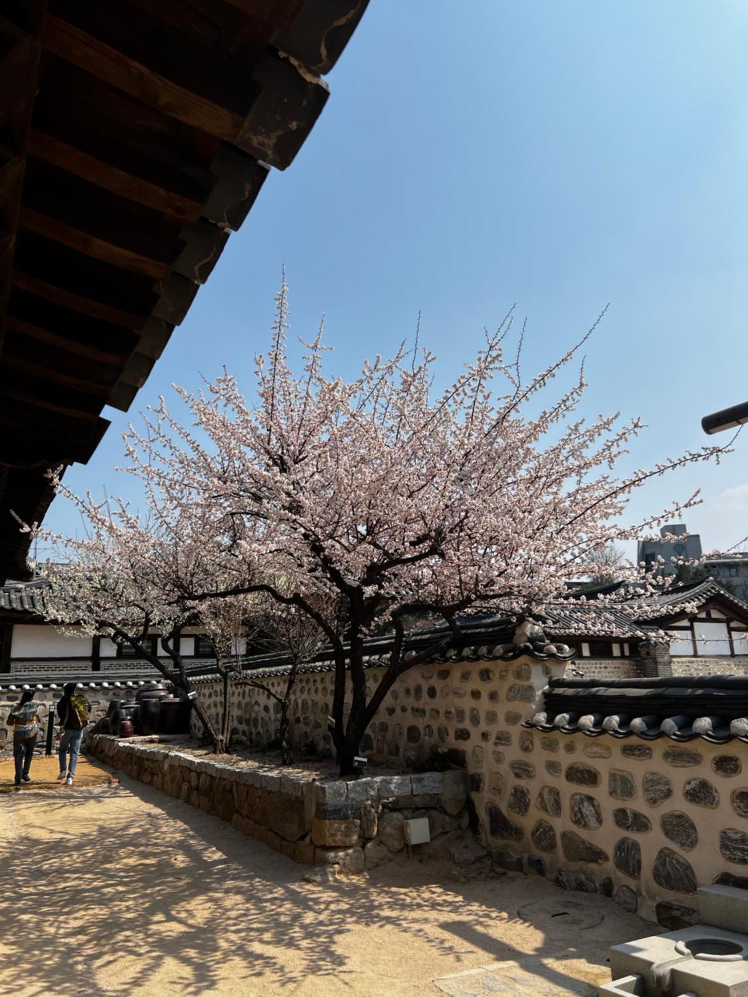 Pangsapuri 3-warm Newly-build Near Dongdaemun History & Culture Park Station Seoul