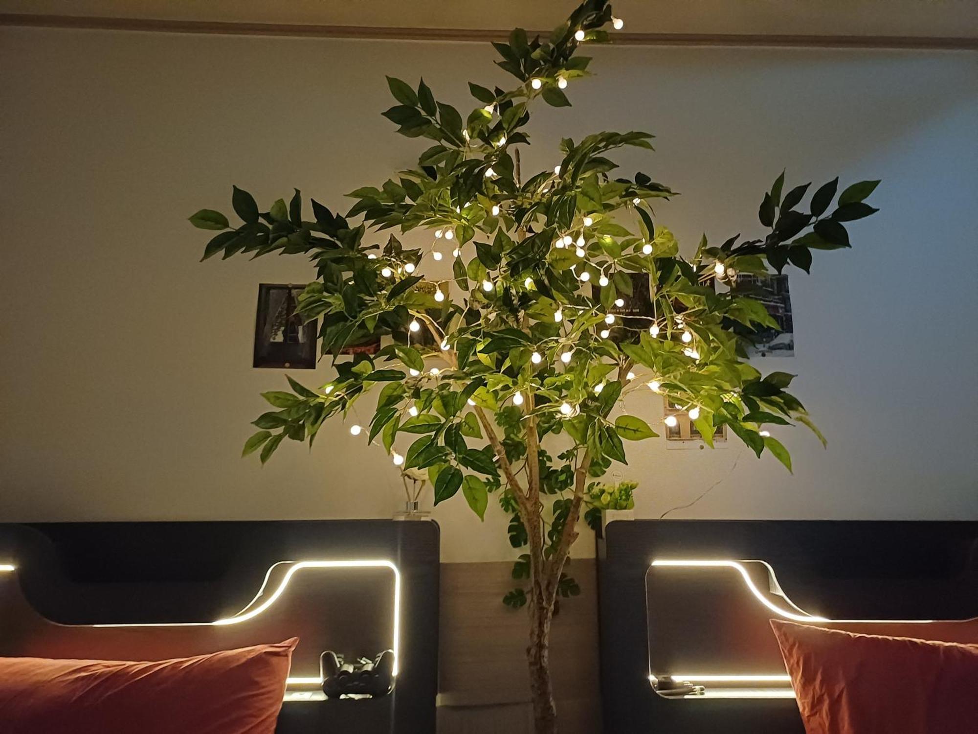 Apartment Two Cozy And Cool House Food Alley Seoul