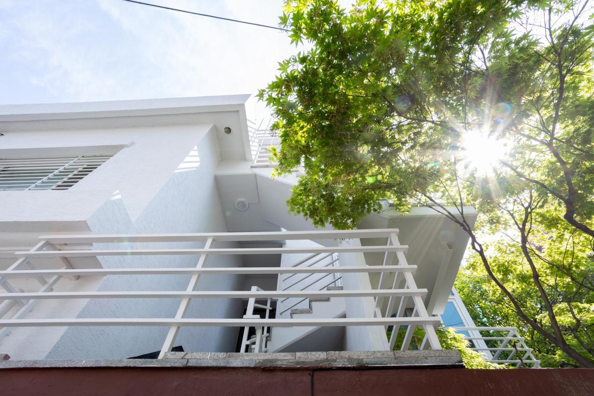 Guest house Maple Mansion Hongdae *