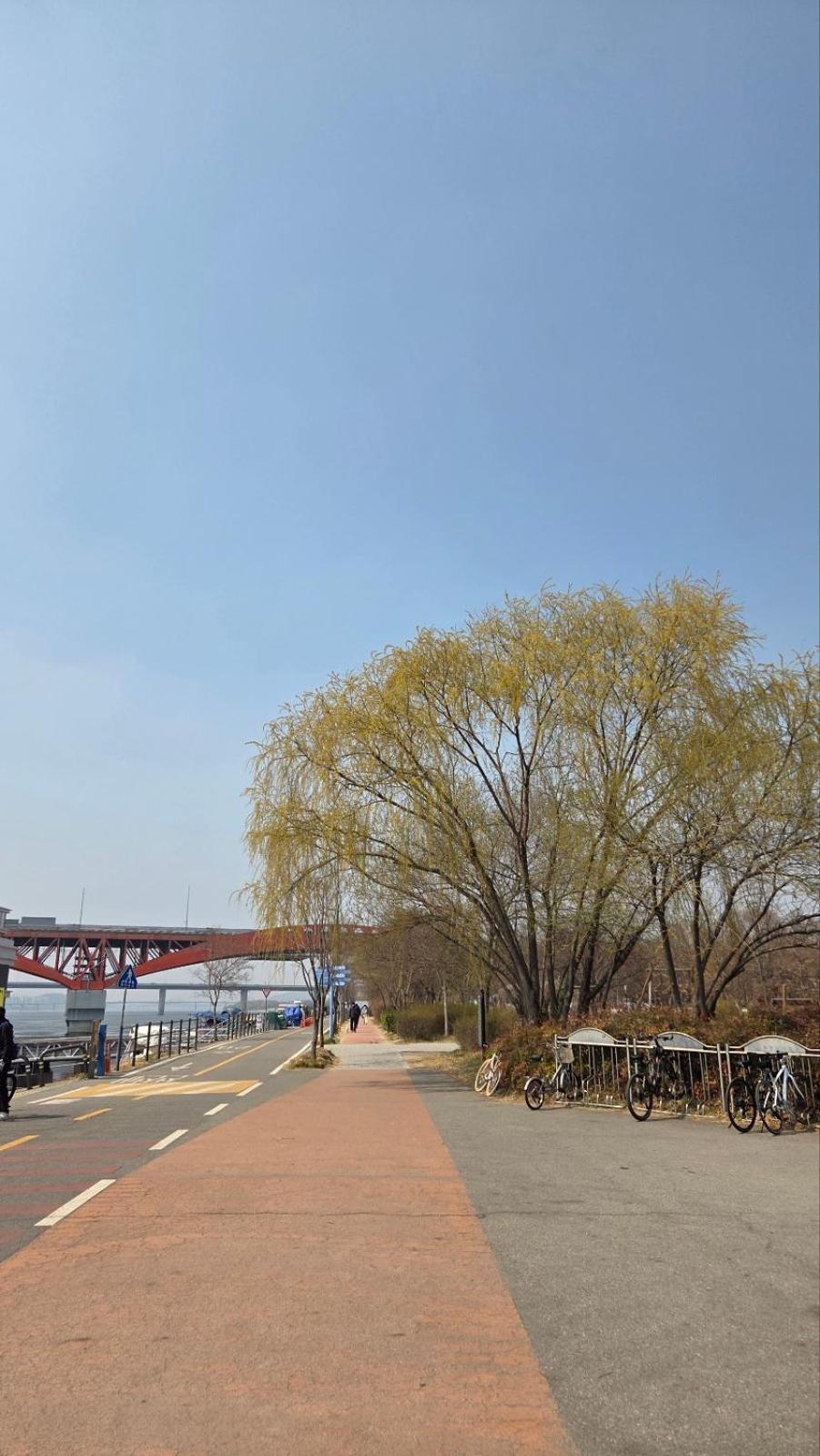 Pousada Maison Lounge - Mangwon, Hangang *