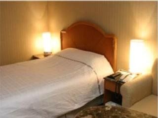 Hotel Karak Tourist